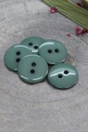 Boutons Classic Shine - Cactus
