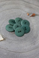 Boutons Palm - Cactus