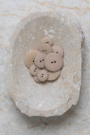 Boutons Palm - Milky Clay